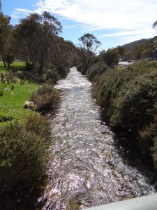 Thredbo River