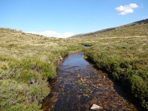 Upper Thredbo River.  Not the Murray but very similar.  Believe me I have been there, but not on this day.  