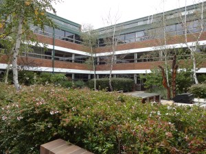 New Canberra High School 2