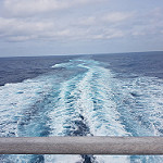 27370903413_950f83e4c7_q