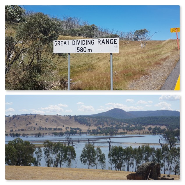 New Phototastic Collage