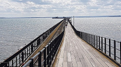 36605293916_eda60216b1_m