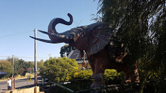 26385467498_701a2a2294_m