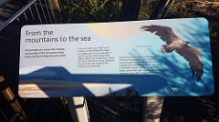 40450370782_5365000048_m